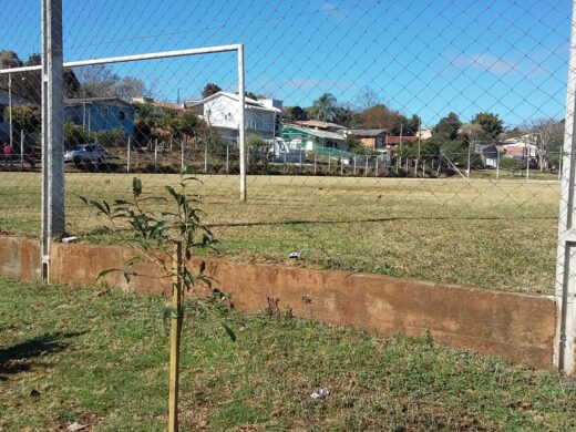 Programa realiza plantio de 140 mudas em agosto