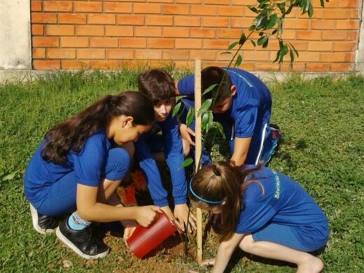 Uma Criança, Uma Árvore: plantio em escolas