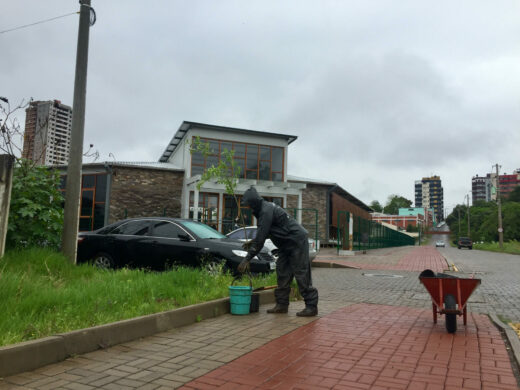 Programa realiza plantio de 92 mudas de árvores