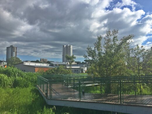 Parque Ambiental da Vergueiro com novo horário