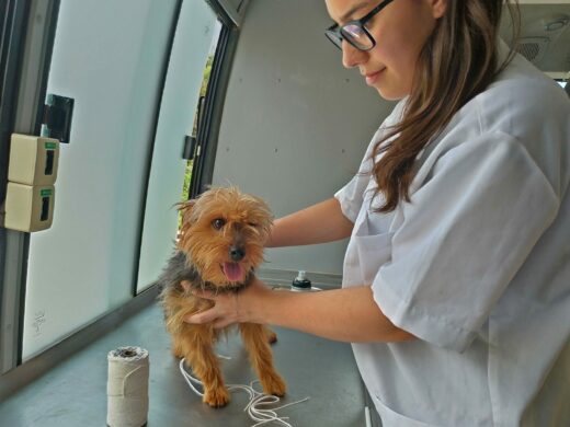 É o Bicho atende comunidade da Cruzeiro e região