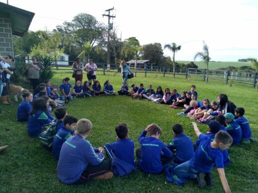 Escolas têm práticas de educação ambiental