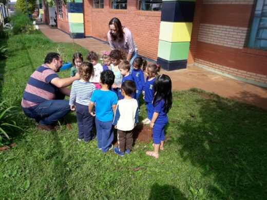 Mais árvores são plantadas em escola municipal