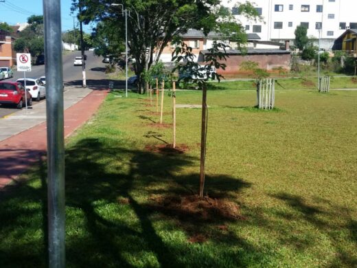 Parque da Gare ganha novas árvores
