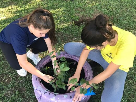 Alunos participam de limpeza do rio Passo Fundo