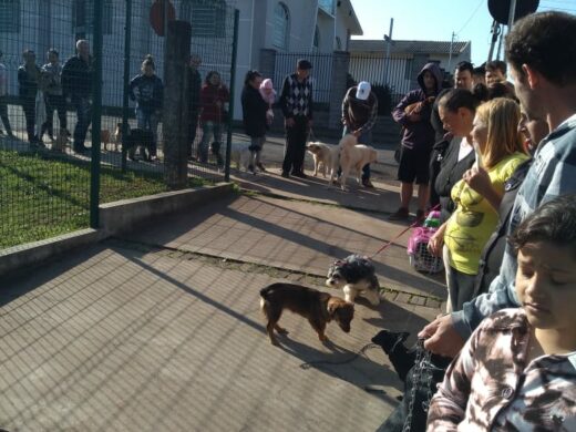 É o Bicho realiza ação de castração na Planaltina