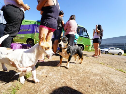 Prefeitura destaca políticas públicas voltadas aos animais