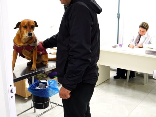 Coordenadoria de Bem-Estar Animal da Prefeitura registra aumento de 20% nos atendimentos