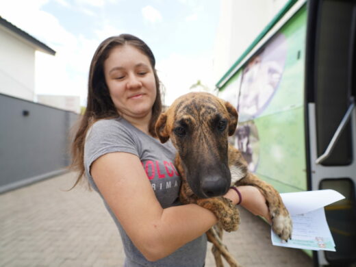 Programa É o Bicho reforça cuidado e proteção aos animais