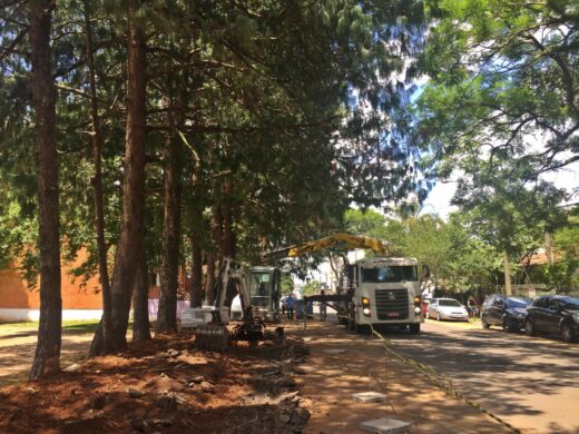 Obras do passeio público do Campo do Quartel