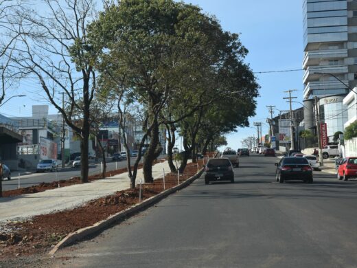 Avenida Brasil: obra via ultrapassa os 40%