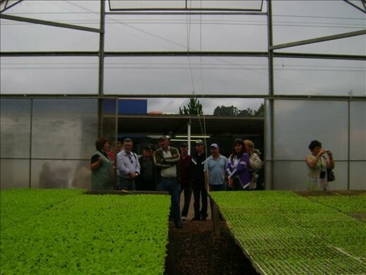 Secrint proporciona viagem a produtores de hortaliças de Passo Fundo
