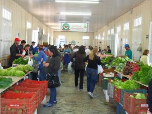 Prefeitura realiza Seminário sobre Hortifruticultura na próxima semana