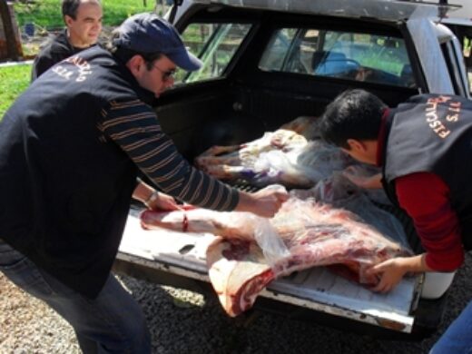 Inspeção municipal apreende cerca de 220 quilos de carne