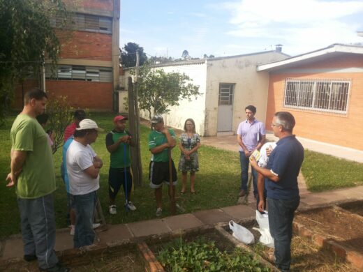 Programa Plantando em Casa atendeu mais de 220 famílias e também entidades