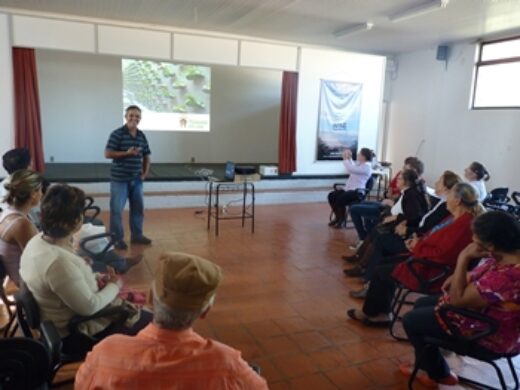 Qualidade e economia: resultados do Programa Plantando em Casa