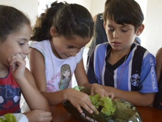 Plantando em Casa já atendeu mais de 300 famílias