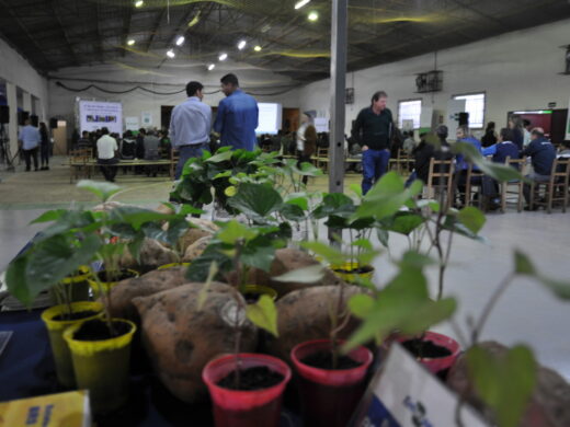 Dia de Campo: protagonismo do meio rural