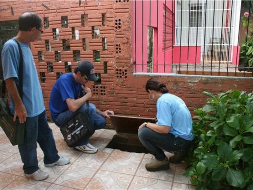 Dengue: encontrado o primeiro foco de larvas