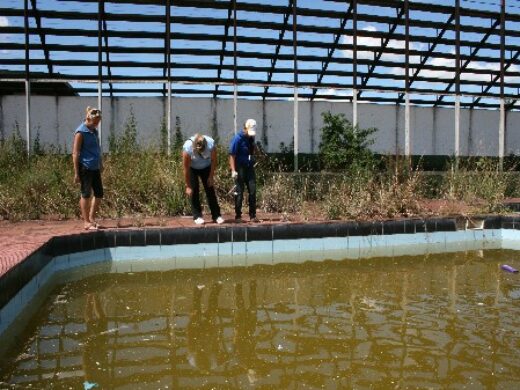 Dengue:Prefeitura reforça prevenção  no antigo Gaúcho