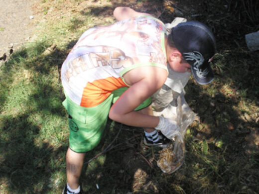 Mutirão contra a dengue na Ricci