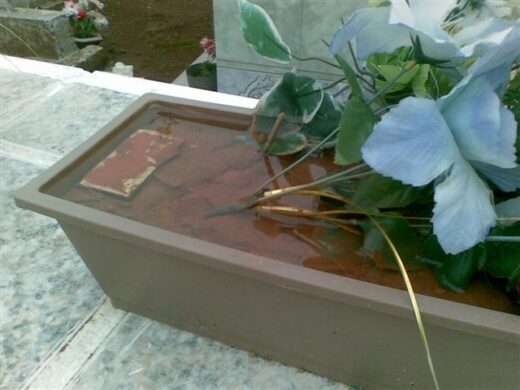 Vigilância detecta focos de mosquito da dengue e traça estratégia de combate