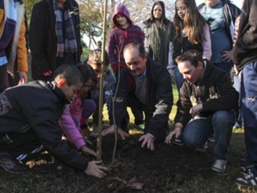 Uma Criança, Uma Árvore fará o plantio de mais de 10 mil mudas em Passo Fundo
