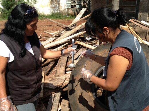 Dengue: comunidade deve ficar atenta