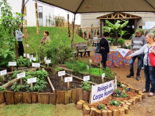 Encontro sobre plantas bioativas