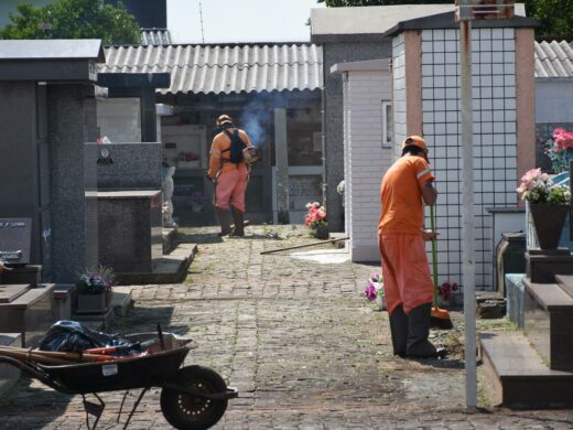 Finados: Vigilância Ambiental orienta população