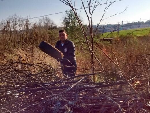 Cuidados com a dengue devem ser reforçados