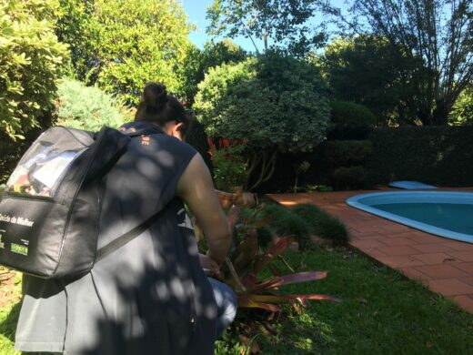 Época é propícia para aumento dos focos do Aedes