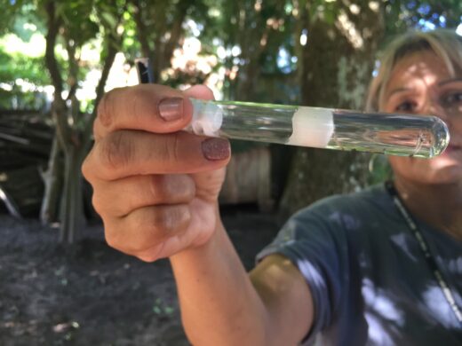 Diminuição de focos do mosquito Aedes aegypti