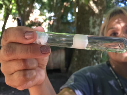 Município reforça campanha contra a dengue