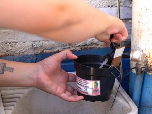 Prefeitura instala armadilhas para o mosquito Aedes aegypti em 225 pontos da cidade