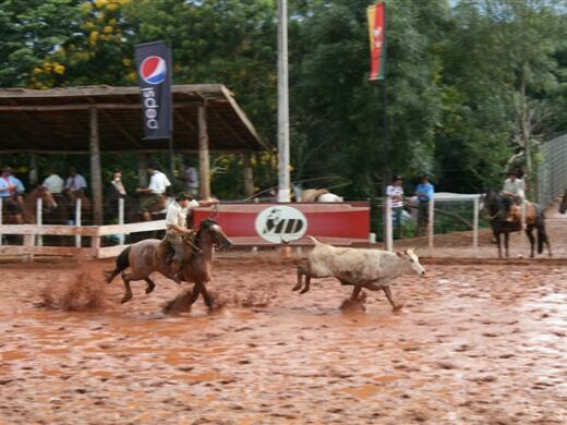 Funzoctur presta contas do XV Rodeio