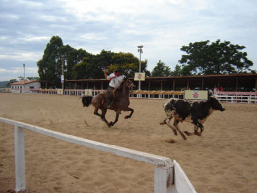 Tiro de laço “Pai e Filho” é tradição em família no Rodeio de Passo Fundo