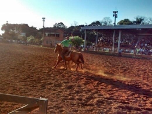 Torneio de Laço tem presença de mais 500 cavaleiros
