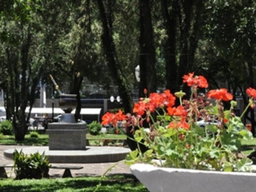 Doze espécies de flores são cultivadas na Praça Marechal Floriano