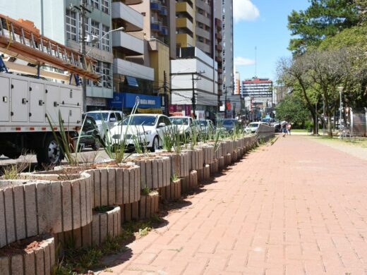 Floreiras destruídas na avenida Brasil restauradas