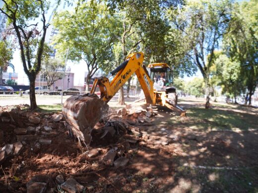 Prefeitura inicia intervenções nos canteiros da Avenida Brasil