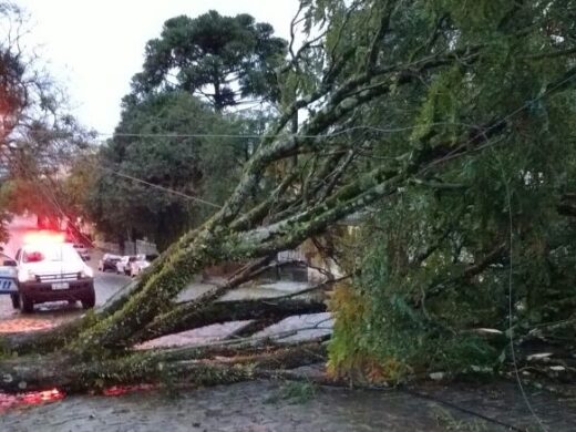 Segue com auxílio a pessoas atingidas pela chuva