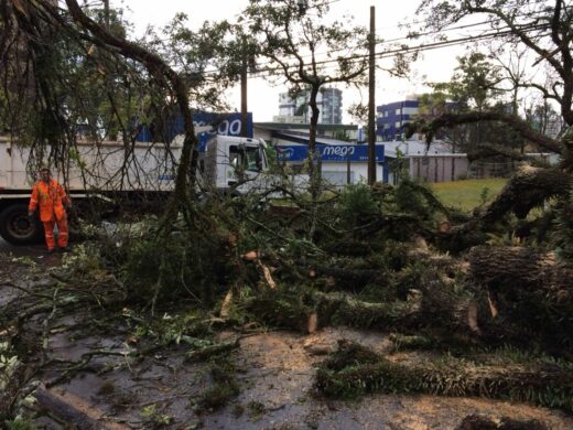 Defesa Civil já prestou dezenas de atendimentos