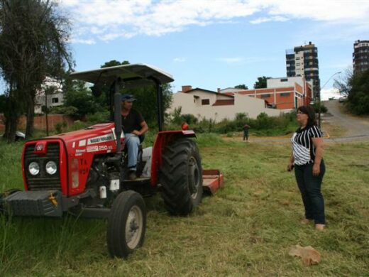Limpeza no Banhado da Vergueiro