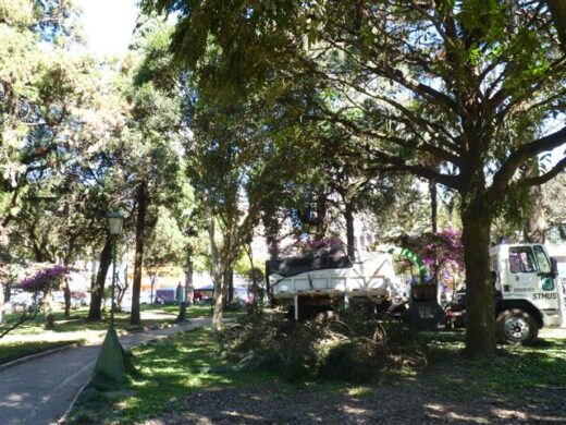 Prefeitura realiza poda das árvores na Praça Marechal Floriano