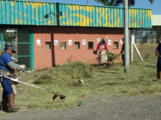 Parque Wolmar Salton recebe limpeza e melhorias na iluminação