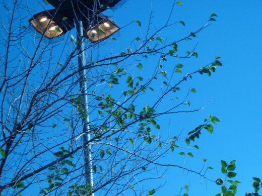 Prefeitura atende grande demanda por trocas de lâmpadas e consertos