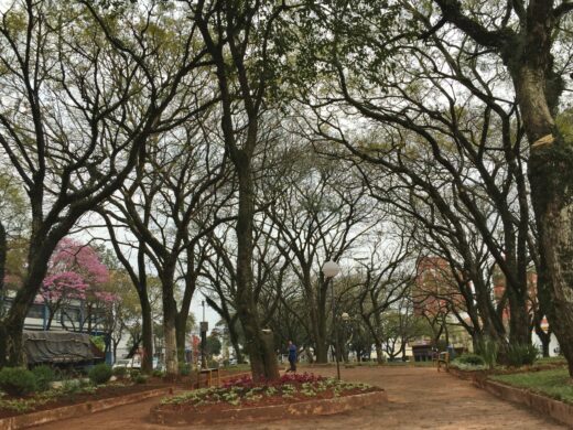 Melhorias em canteiros e praças da cidade