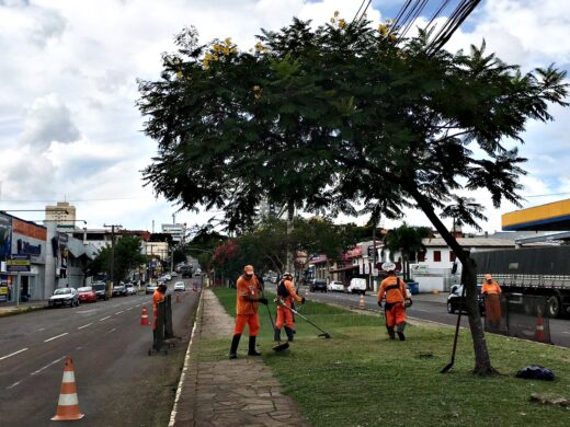 Prefeitura intensifica limpeza de áreas verdes