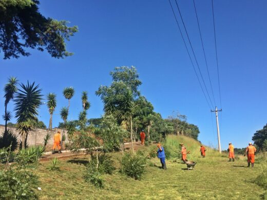 Segue com o trabalho de limpeza nos cemitérios